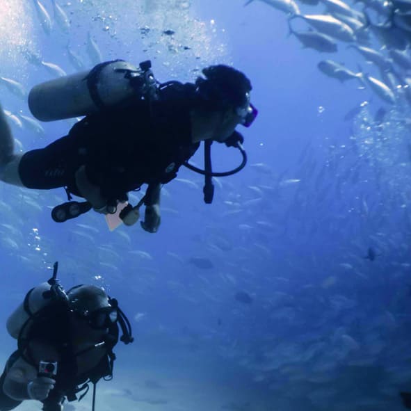 Buceo y Snorkel en Costalegre
